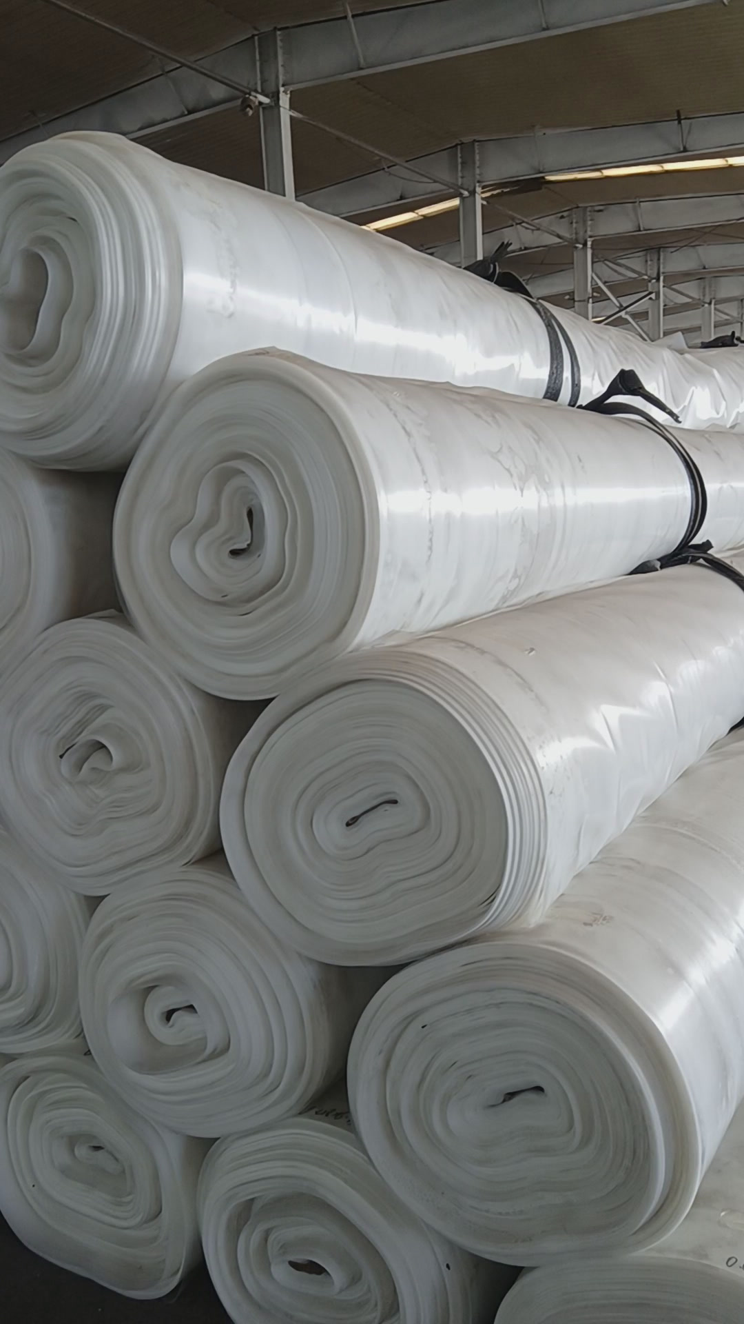 看似与普通渔获无异